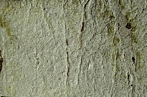  - THS-2022 İnce Doğal Taş